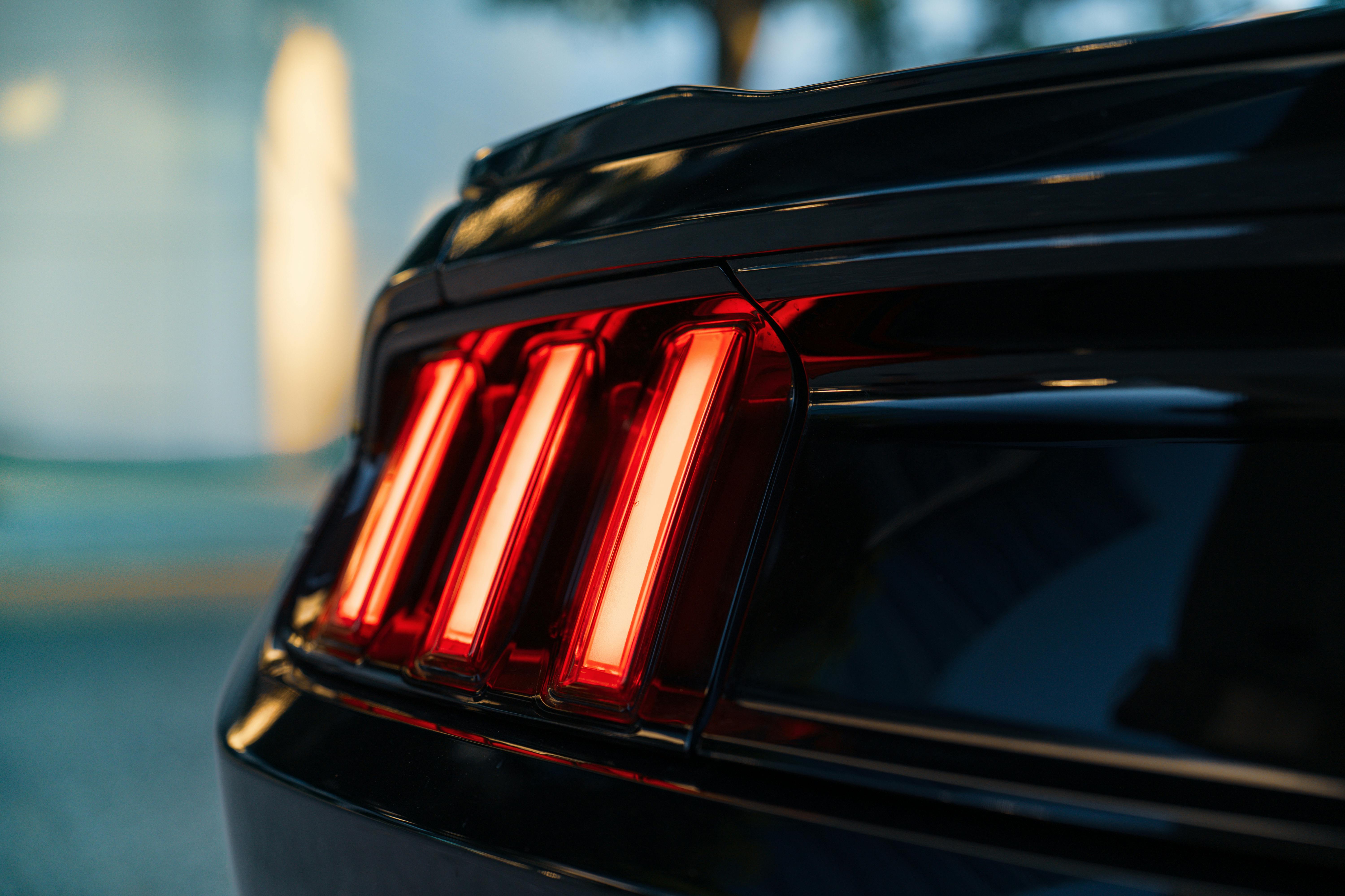 pexels-fbo-media-535159577-34369678